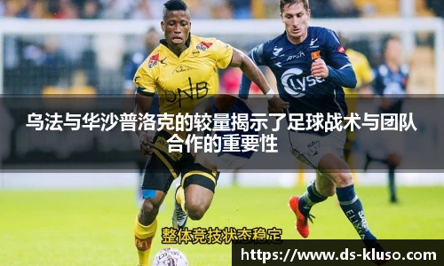 k1体育十年品牌